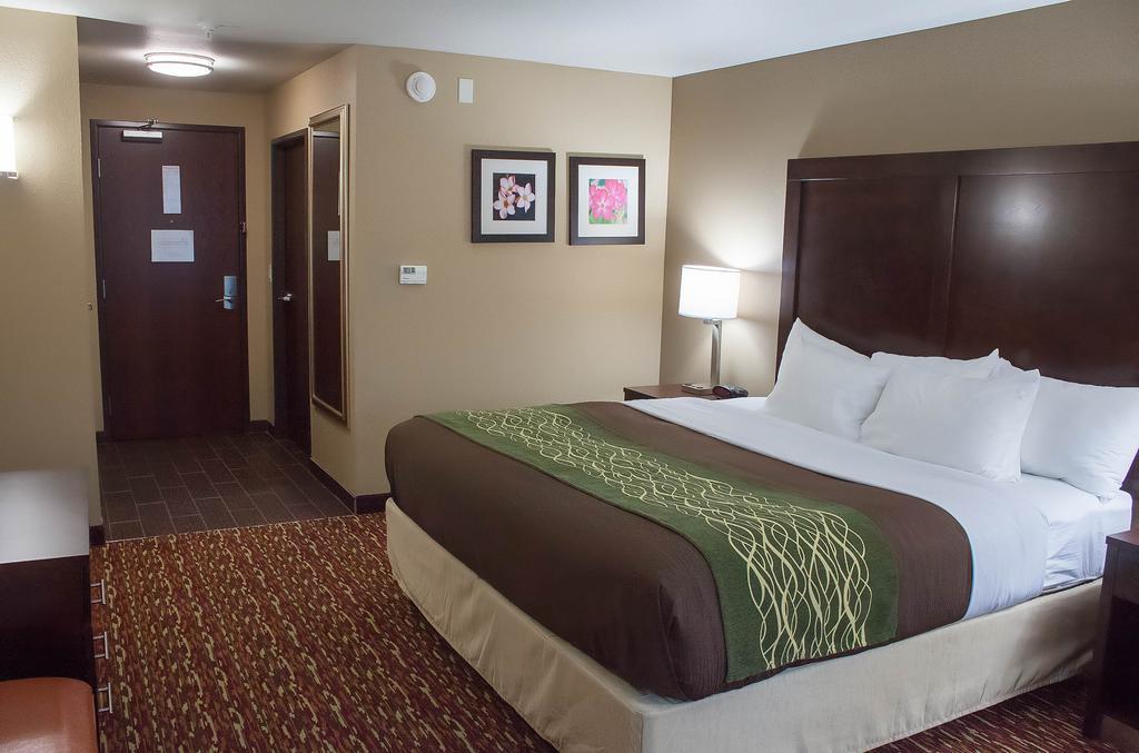 Comfort Inn & Suites Artesia Rum bild
