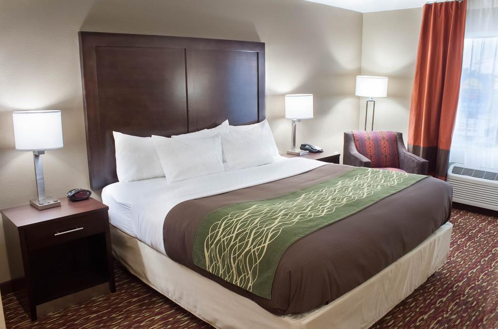 Comfort Inn & Suites Artesia Rum bild