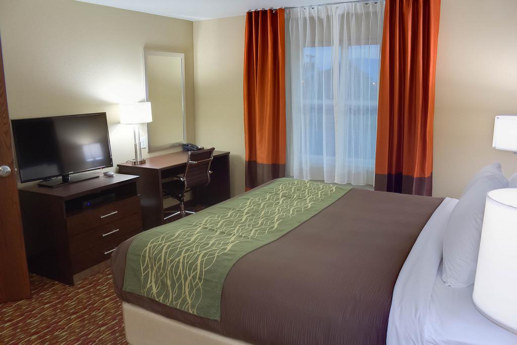 Comfort Inn & Suites Artesia Rum bild