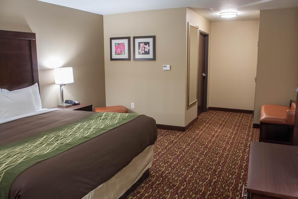 Comfort Inn & Suites Artesia Rum bild