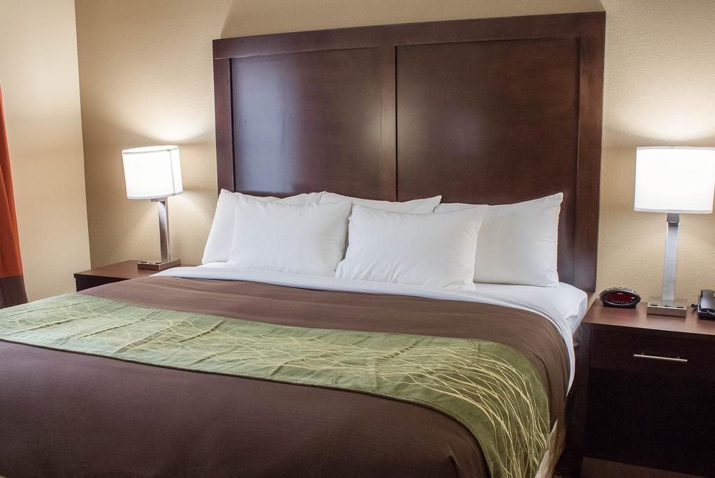Comfort Inn & Suites Artesia Rum bild