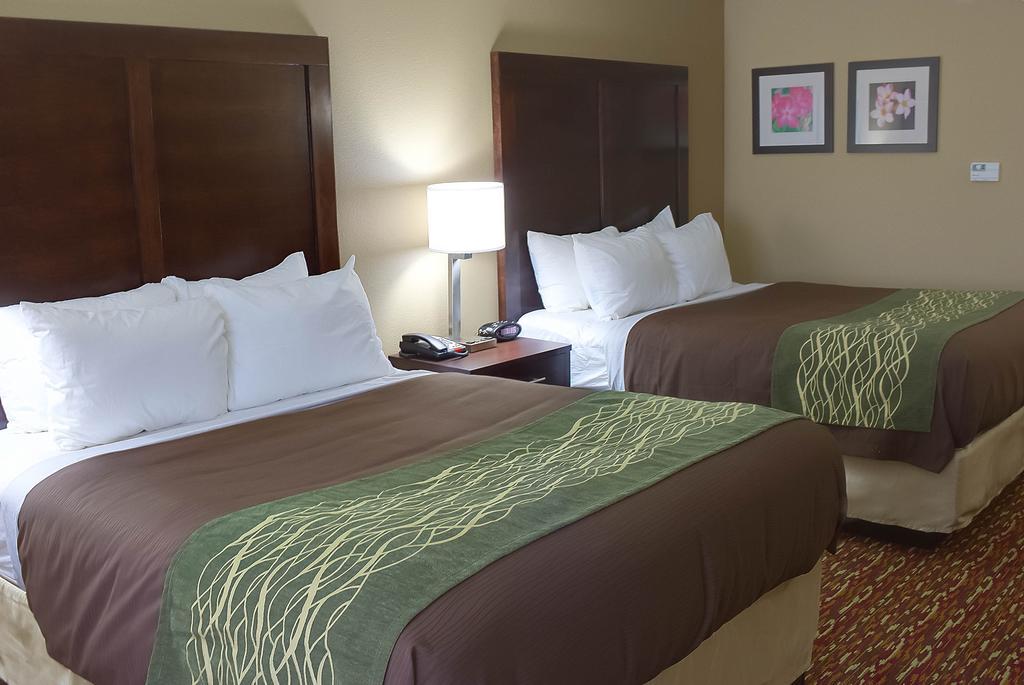 Comfort Inn & Suites Artesia Rum bild