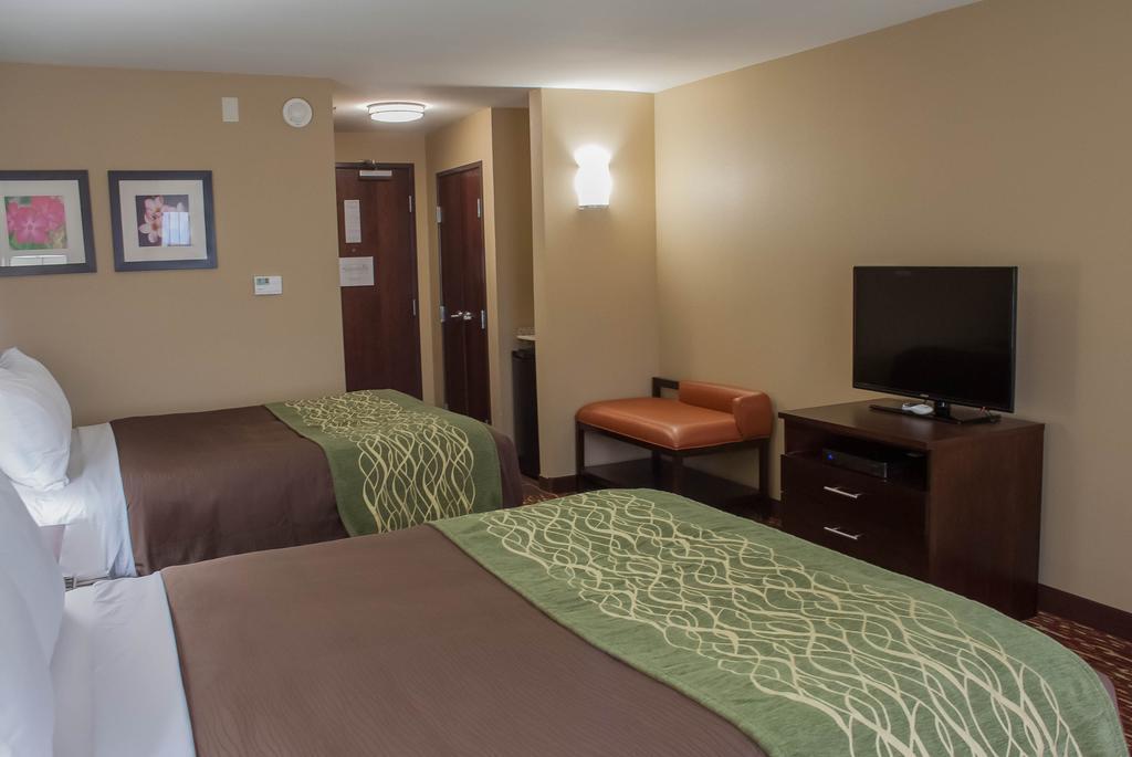 Comfort Inn & Suites Artesia Rum bild